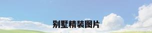 别墅精装图片