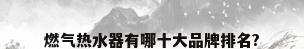 燃气热水器有哪十大品牌排名?