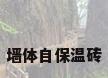 墙体自保温砖
