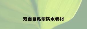 双面自粘型防水卷材
