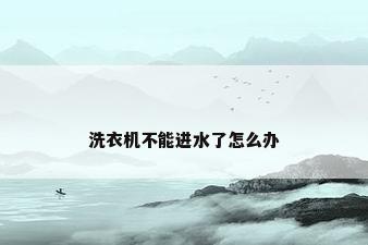 洗衣机不能进水了怎么办