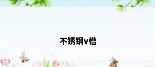 不锈钢v槽