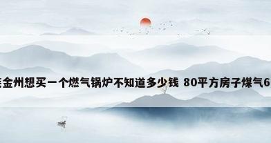 我家在大连金州想买一个燃气锅炉不知道多少钱 80平方房子煤气6元一立方...