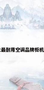 十大最耐用空调品牌柜机排名