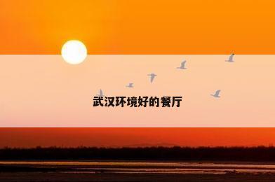 武汉环境好的餐厅