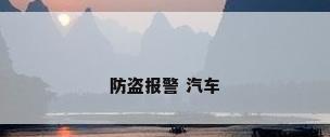 防盗报警 汽车