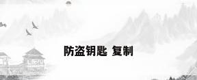 防盗钥匙 复制