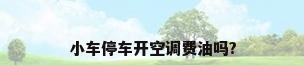小车停车开空调费油吗?