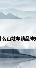 什么山地车锁品牌好