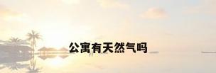 公寓有天然气吗