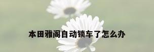 本田雅阁自动锁车了怎么办