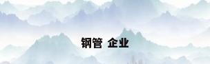 钢管 企业