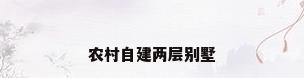 农村自建两层别墅