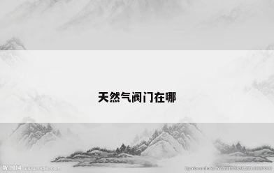 天然气阀门在哪