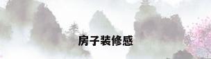 房子装修感