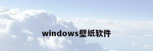 windows壁纸软件