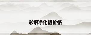 彩钢净化板价格