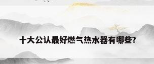 十大公认最好燃气热水器有哪些?