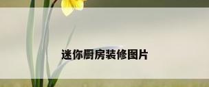 迷你厨房装修图片