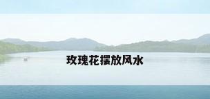 玫瑰花摆放风水