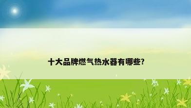 十大品牌燃气热水器有哪些?