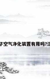 熟悉的说说等离子空气净化装置有用吗?注意事项有哪些呢