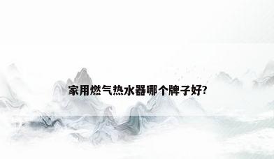 家用燃气热水器哪个牌子好?