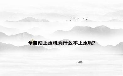全自动上水机为什么不上水呢?