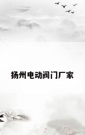 扬州电动阀门厂家