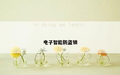 电子智能防盗锁