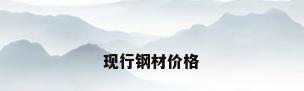 现行钢材价格