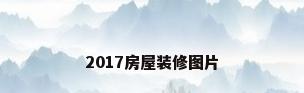 2017房屋装修图片