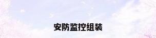 安防监控组装