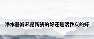 净水器滤芯是陶瓷的好还是活性炭的好