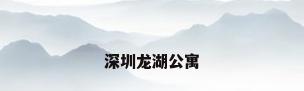 深圳龙湖公寓