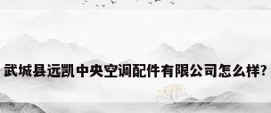 武城县远凯中央空调配件有限公司怎么样?