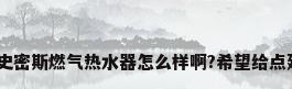 ao史密斯燃气热水器怎么样啊?希望给点建议