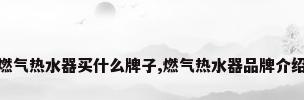 燃气热水器买什么牌子,燃气热水器品牌介绍