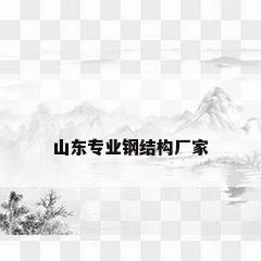 山东专业钢结构厂家