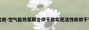 恒温恒湿房-空气能热泵联合烘干房实现活性炭烘干节能方案