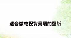 适合做电视背景墙的壁纸