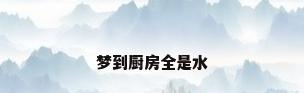 梦到厨房全是水