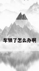 车锁了怎么办啊