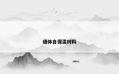 墙体自保温材料