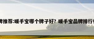 2022暖手宝品牌推荐:暖手宝哪个牌子好? 暖手宝品牌排行榜前五名_百度...
