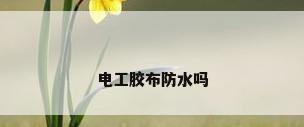 电工胶布防水吗