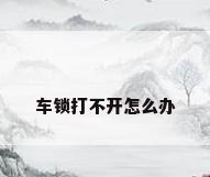 车锁打不开怎么办