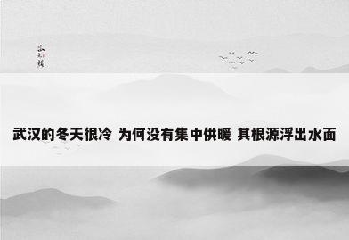 武汉的冬天很冷 为何没有集中供暖 其根源浮出水面