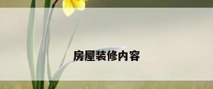 房屋装修内容