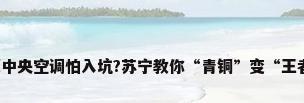 买中央空调怕入坑?苏宁教你“青铜”变“王者”